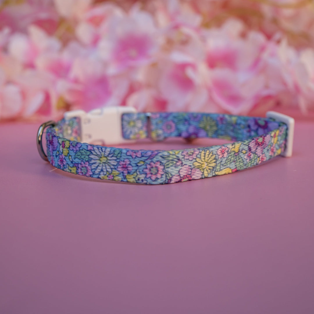 Floral Fable Cat Collar | Toy Breed Dog Collar
