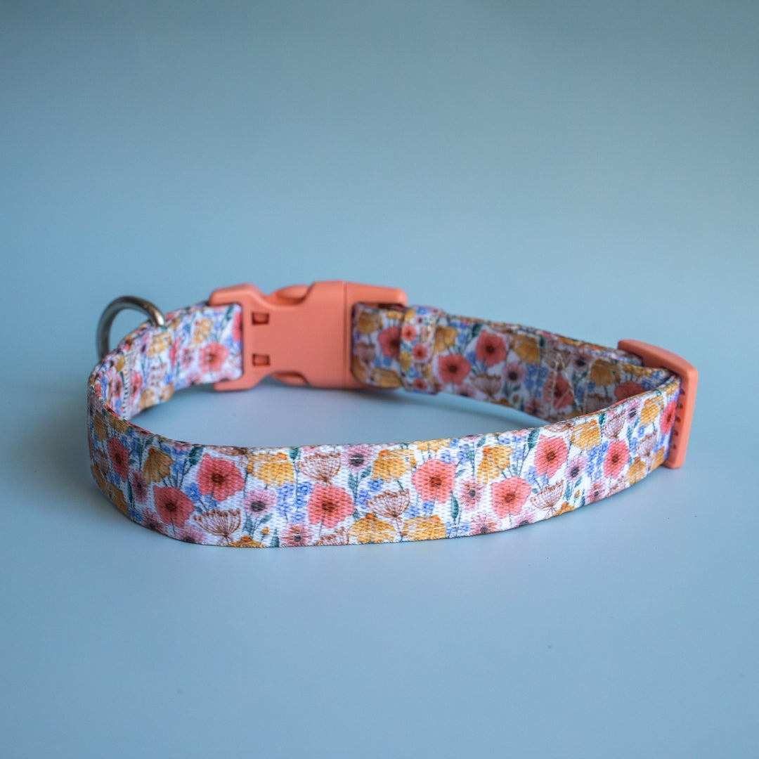 Peachy Posies Dog Collar | Neoprene Dog Collar