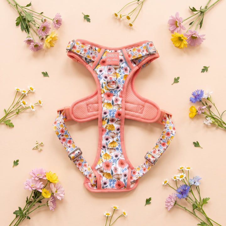 No Pull Dog Harness with Handle: Peachy Posies