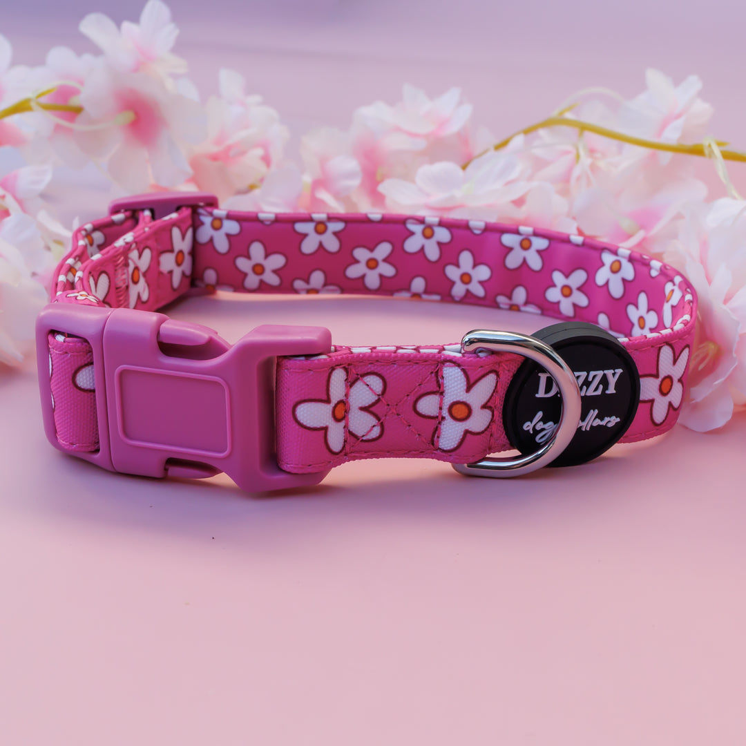 Darling Daisy: Pink Daisy Dog Collar | Canvas & Neoprene Dog Collar