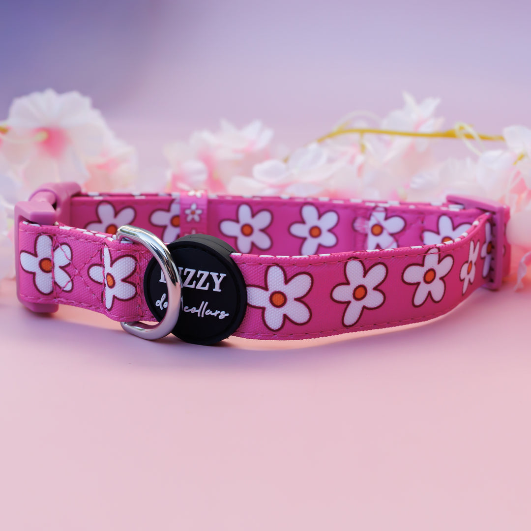 Darling Daisy: Pink Daisy Dog Collar | Canvas & Neoprene Dog Collar