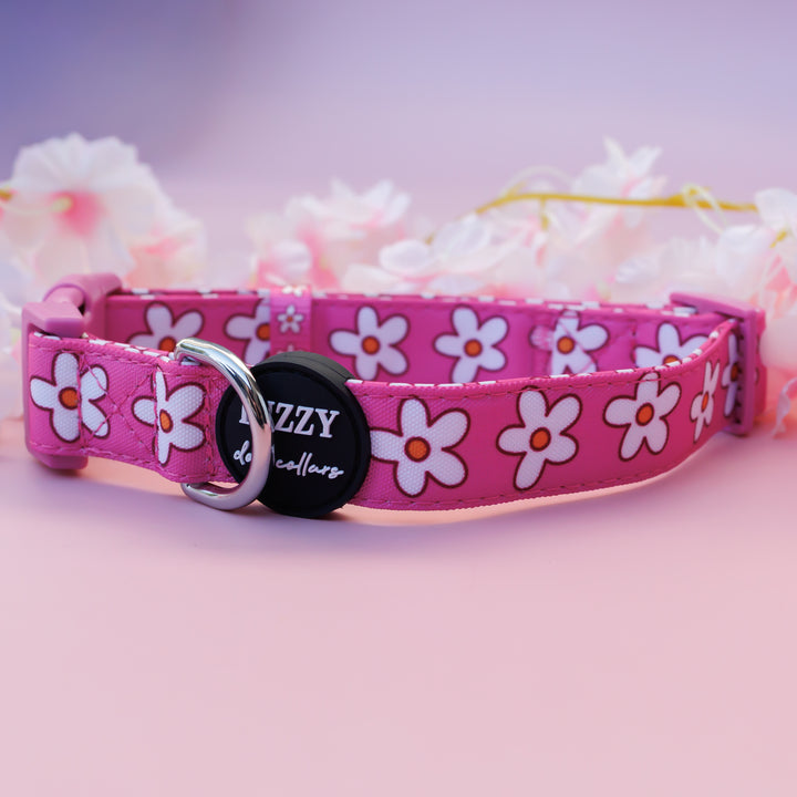 Darling Daisy: Pink Daisy Dog Collar | Canvas & Neoprene Dog Collar