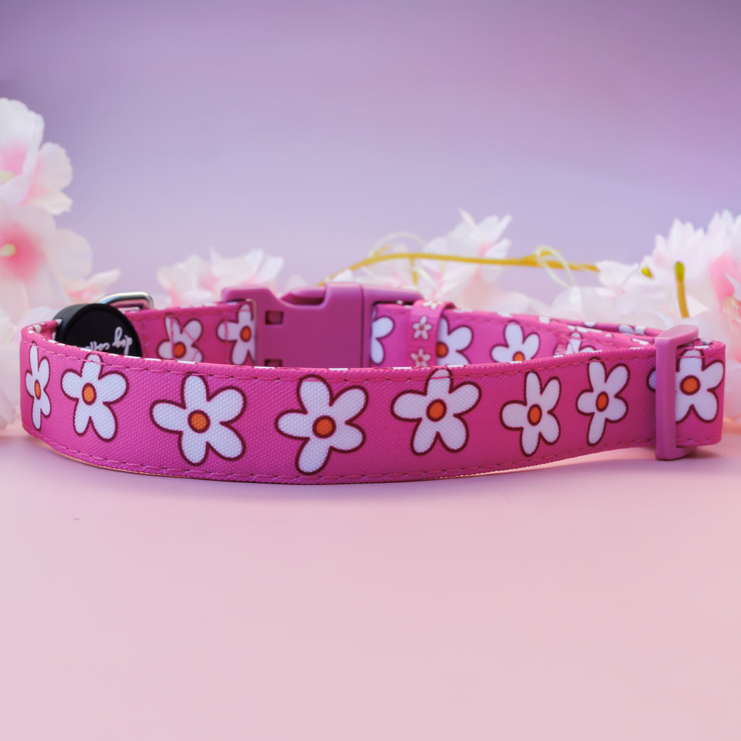 Darling Daisy: Pink Daisy Dog Collar | Canvas & Neoprene Dog Collar
