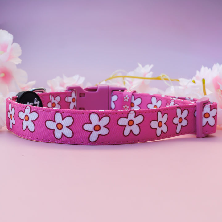 Darling Daisy: Pink Daisy Dog Collar | Canvas & Neoprene Dog Collar