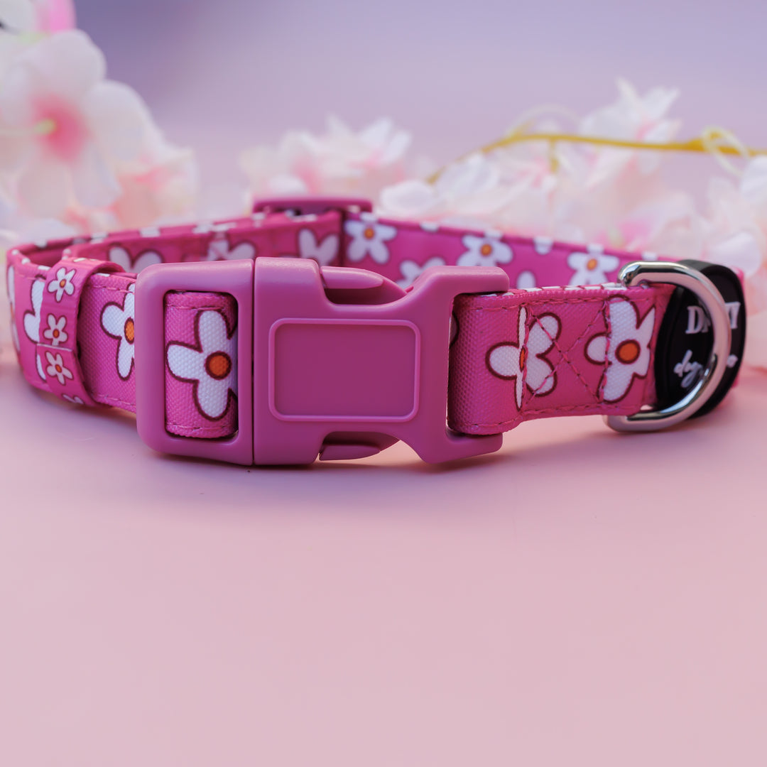 Darling Daisy: Pink Daisy Dog Collar | Canvas & Neoprene Dog Collar