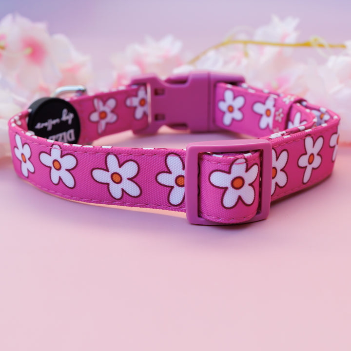 Darling Daisy: Pink Daisy Dog Collar | Canvas & Neoprene Dog Collar