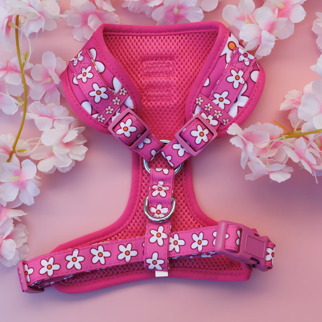 DOG HARNESS | Darling Daisy: Pink Daisy | Neck Adjustable Dog Harness