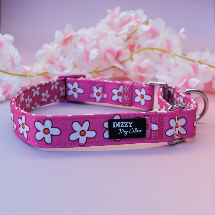 Martingale Dog Collar | Darling Daisy: Pink Daisy