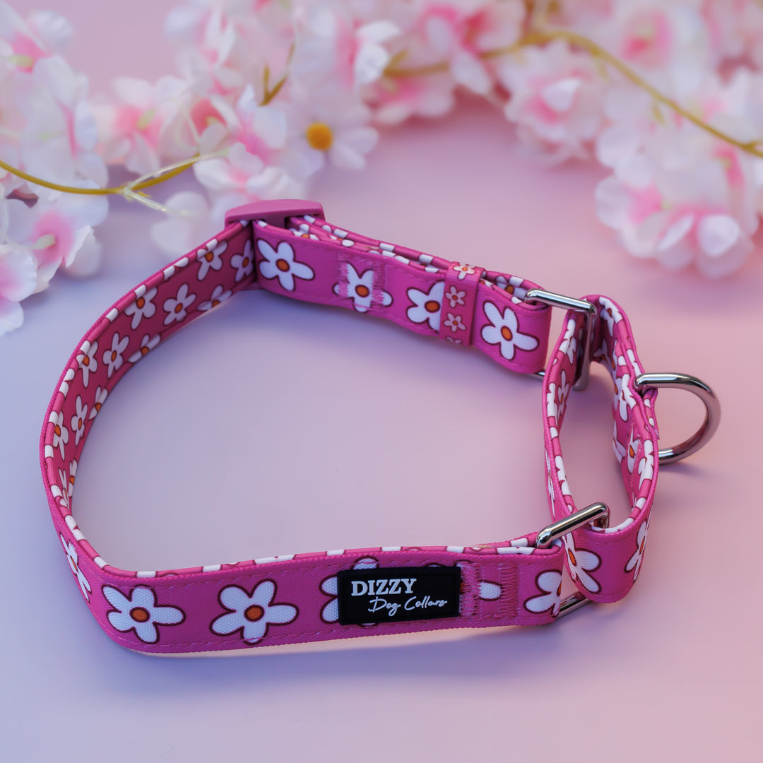 Martingale Dog Collar | Darling Daisy: Pink Daisy