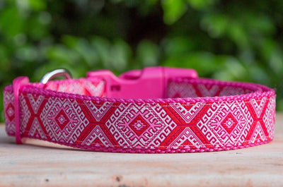 Pink Mexican Dog Collar / XS-XL-Dog Collar-Dizzy Dog Collars-XS 5/8" (1.5cm) Wide-Dizzy Dog Collars