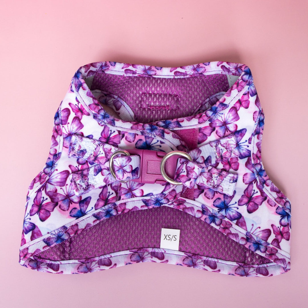 Step In Dog Harness: Candy Sky Butterfly