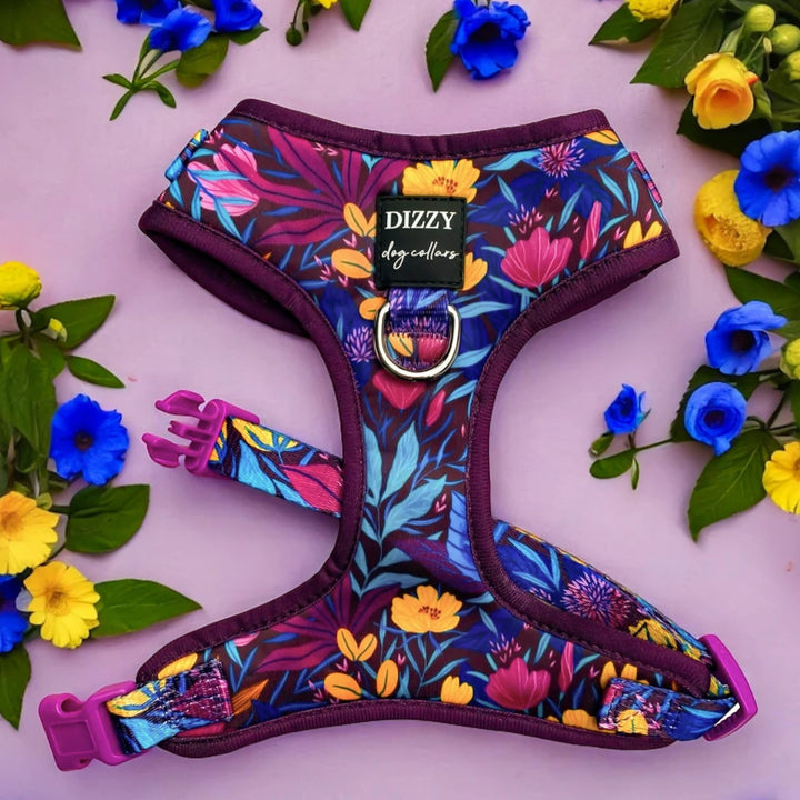 DOG HARNESS -Sapphire Showers, Neck Adjustable Harness