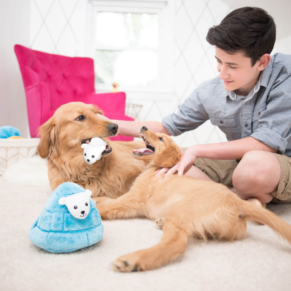 Polar Bear Igloo - Interactive Dog Toy-Toy-Dizzy Dog Collars