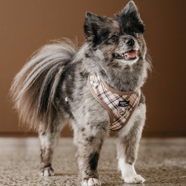 DOG HARNESS | Maplewood: Caramel & Brown Plaid | Neck Adjustable Dog Harness