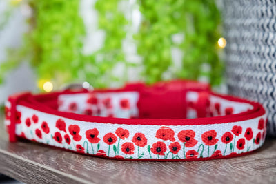 Poppies Dog Collar (Neoprene)-Dizzy Dog Collars-Dizzy Dog Collars