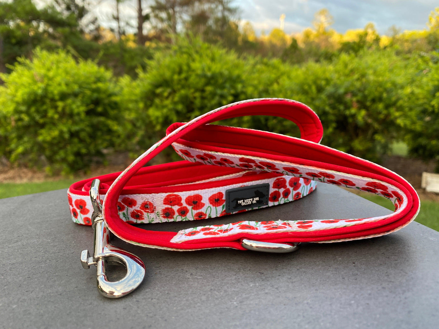 Poppies Dog Leash, fully padded dog lead-Dizzy Dog Collars