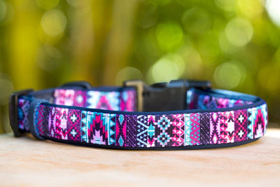 Purple Aztec Bundle | Save up to 20%-Dog Collar-Dizzy Dog Collars
