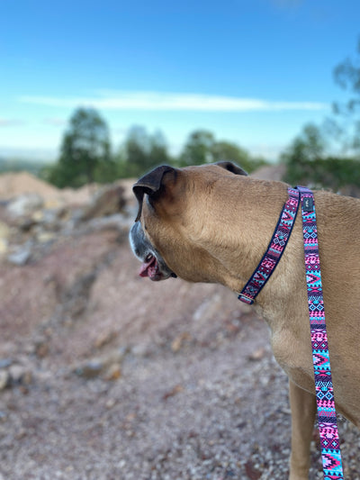 Purple Aztec Dog Leash-Leash-Dizzy Dog Collars