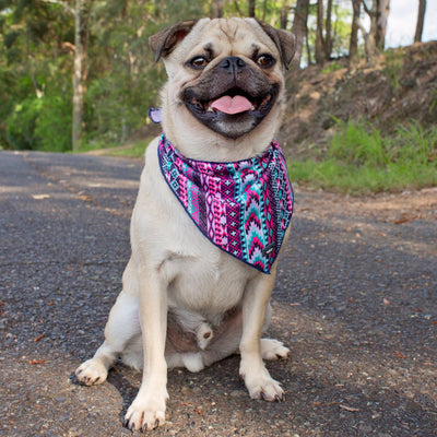 Purple Aztec - Tie Up Dog Bandana-Dizzy Dog Collars-Dizzy Dog Collars