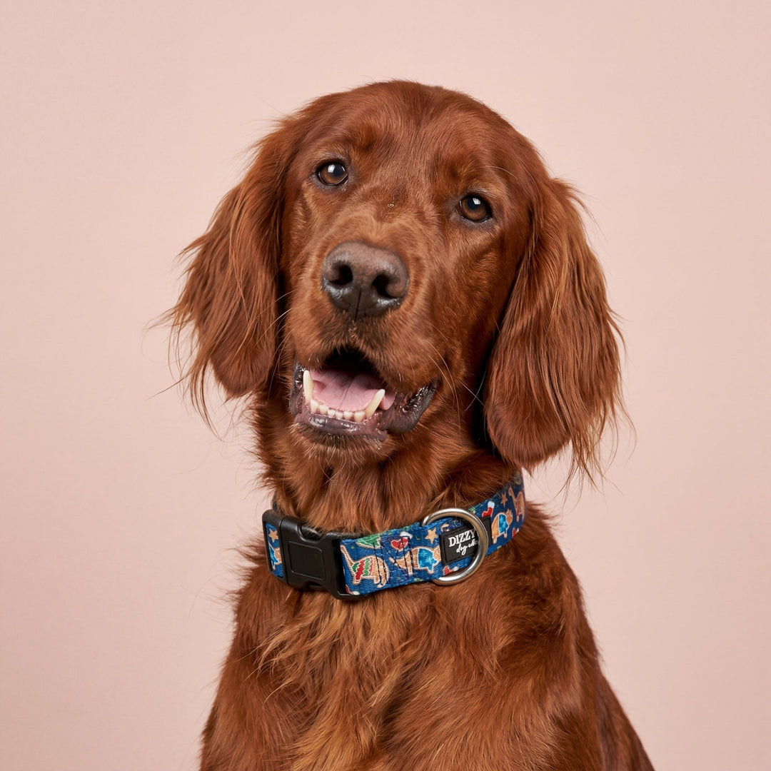 Jolly Jurassic Dog Collar | Value Range Dog Collar