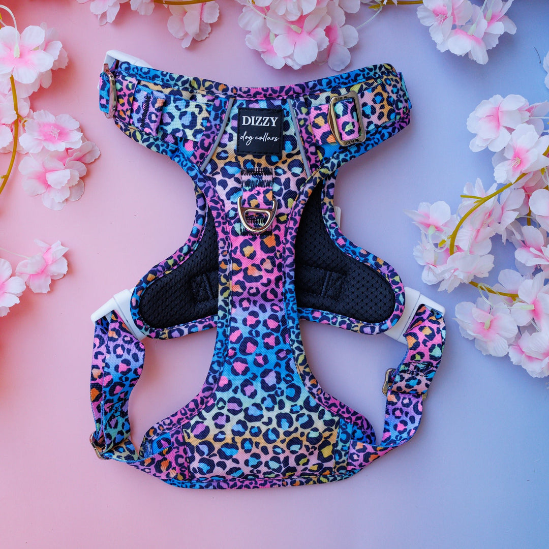 ****SECONDS*** No Pull Dog Harness with Handle |  Ombre Leopard