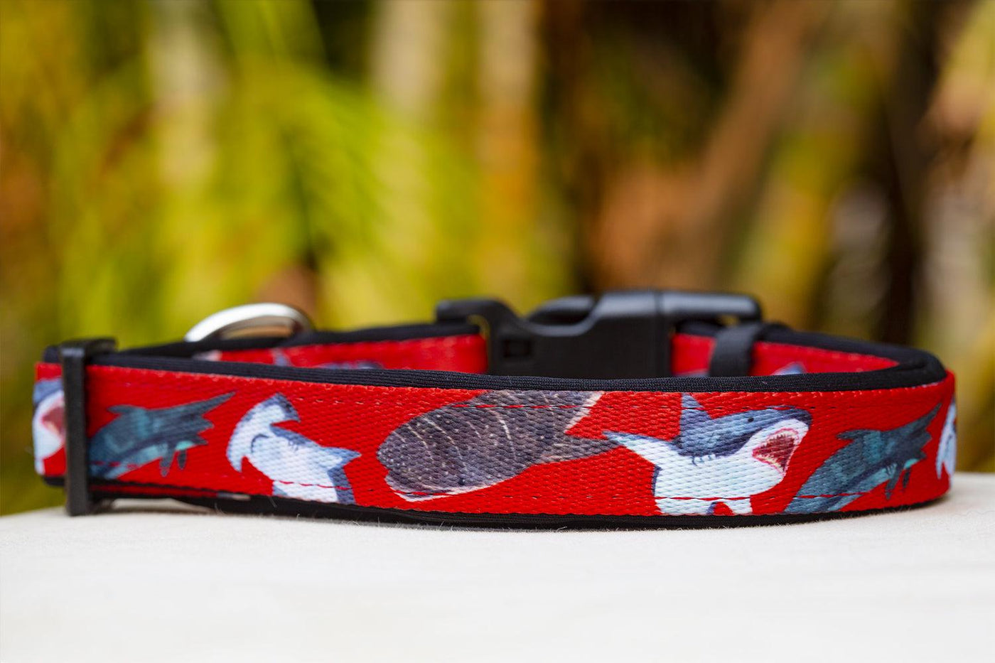 Shark Dog Collar / XS-XL-Dog Collar-Dizzy Dog Collars