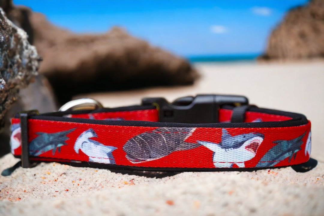 Red Sharks Dog Collar | Neoprene Dog Collar-Dog Collar-Dizzy Dog Collars