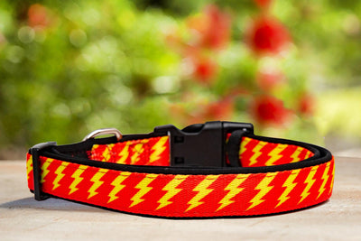 Red & Yellow Bolt Dog Collar (Neoprene)-Dizzy Dog Collars-Dizzy Dog Collars