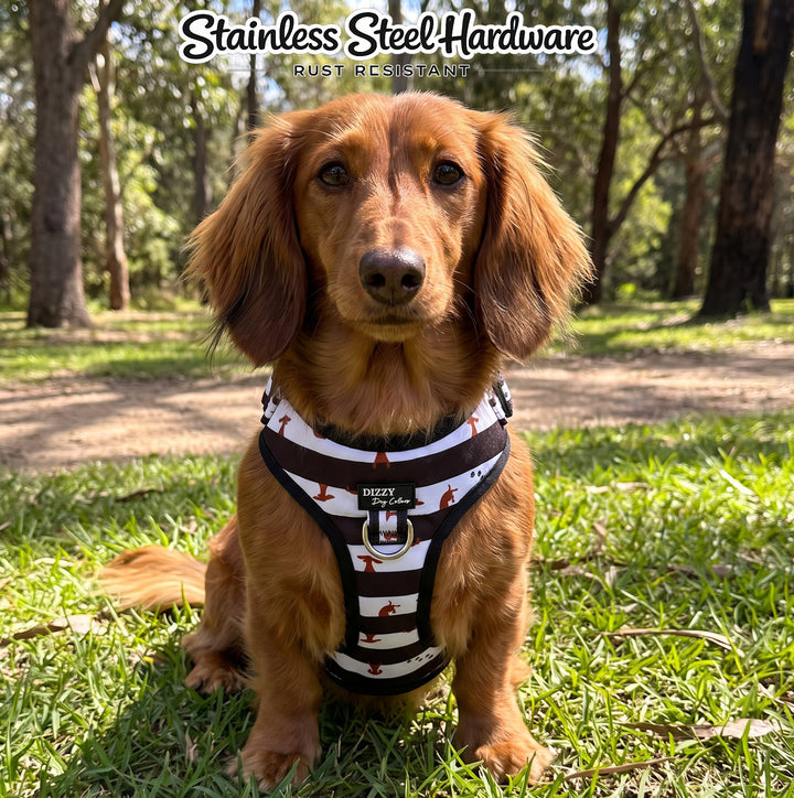 DOG HARNESS | Peek-a-Moo: Dachshund Print  | Neck Adjustable Dog Harness