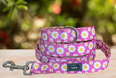 Retro Pink Daisy, Daisies Dog Leash - fully padded lead - Australian Made-Dizzy Dog Collars