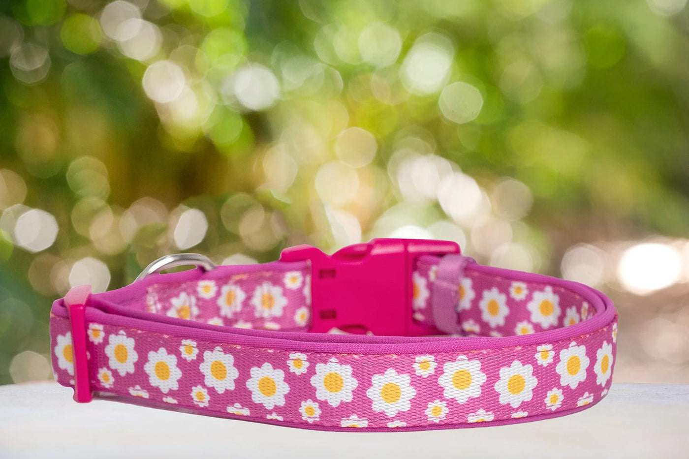 Retro Pink Daisy Dog Collar (Neoprene)-Dizzy Dog Collars-Dizzy Dog Collars