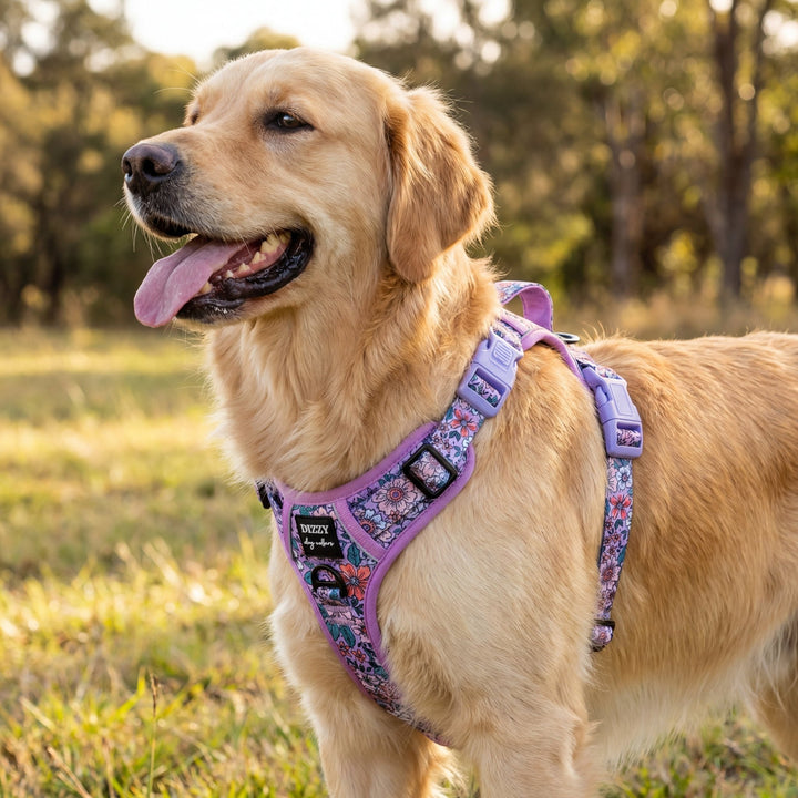No Pull Dog Harness | Step in | Reflective | Heavy Duty | Easy Reach Handle | Lilac Floral