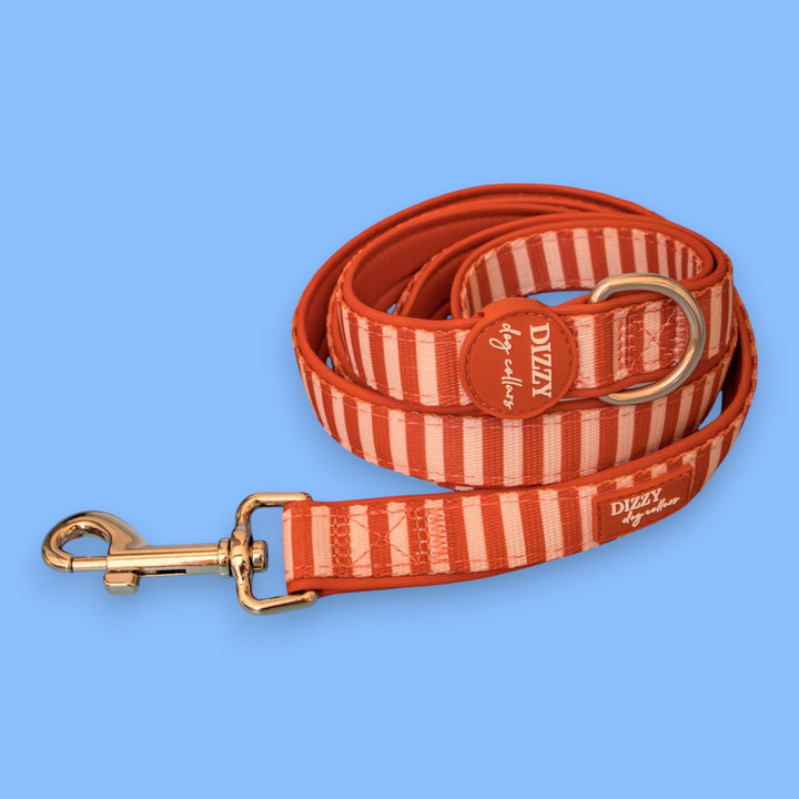 Rusty Ridge  Dog Leash Fully Padded Leash