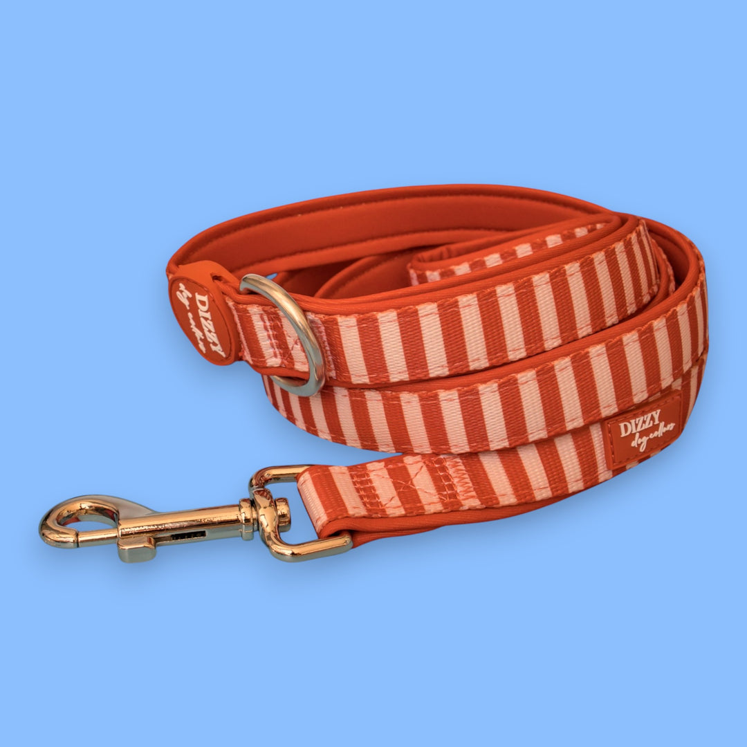 Rusty Ridge Pack Rusty Ridge Dog Leash Fully Padded Leash – Dizzy Dog Collars