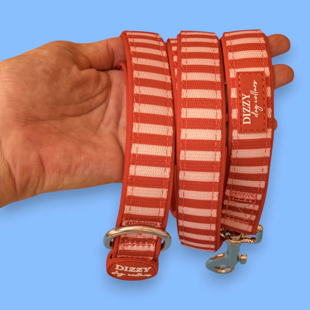 Rusty Ridgel Rusty Ridge Dog Leash Fully Padded Leash – Dizzy Dog Collars