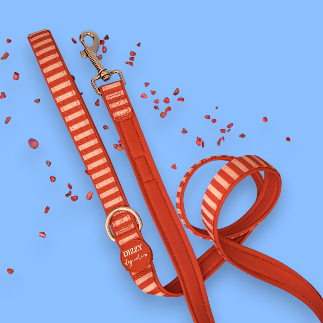 Rusty Ridge  Dog Leash Fully Padded Leash