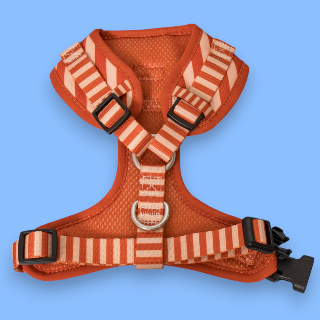 Rusty Ridge Pack Rusty Ridge Dog Harness | Stainless Steel Adjustable Harness – Dizzy ...