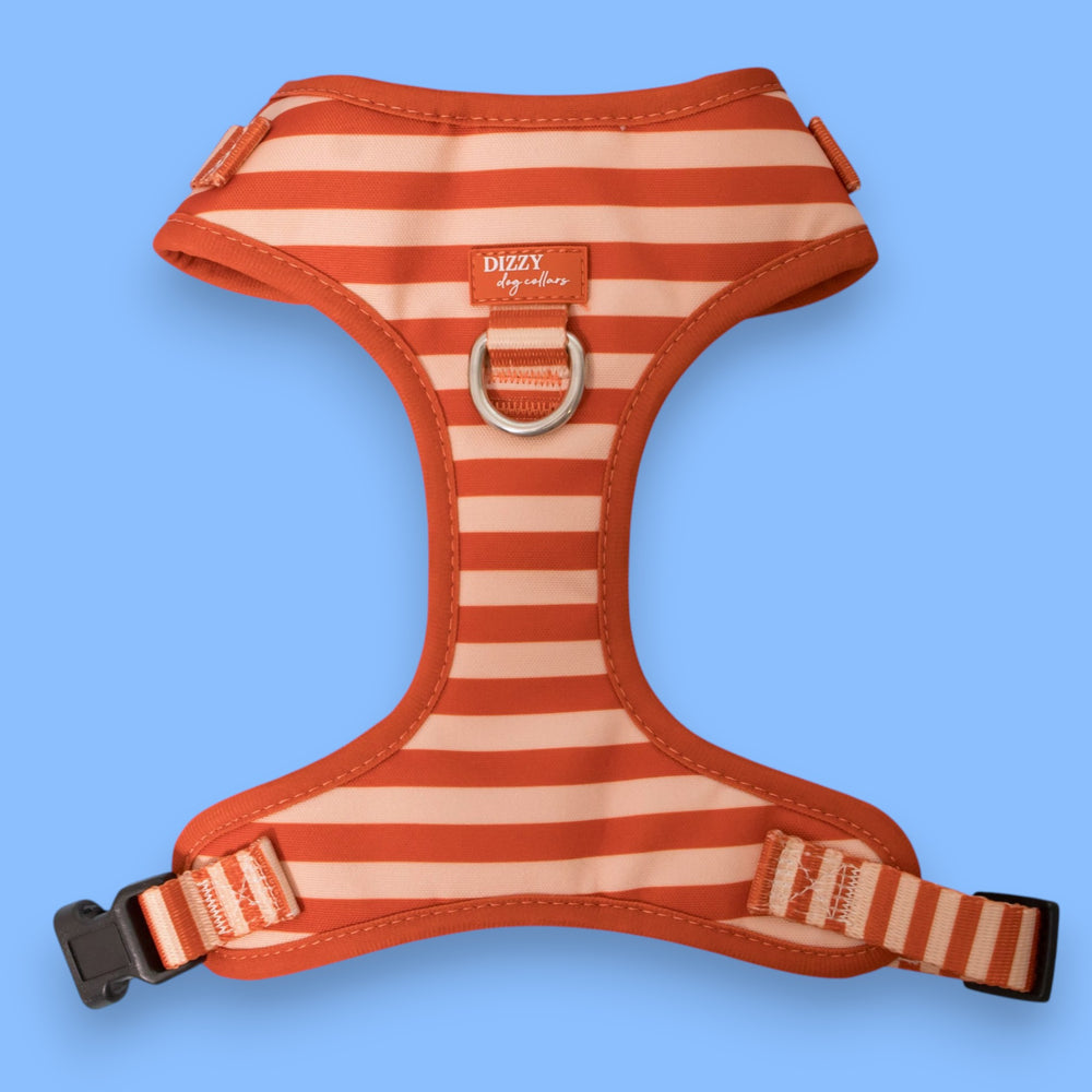 Rusty Ridgel Rusty Ridge Dog Harness | Stainless Steel Adjustable Harness – Dizzy ...