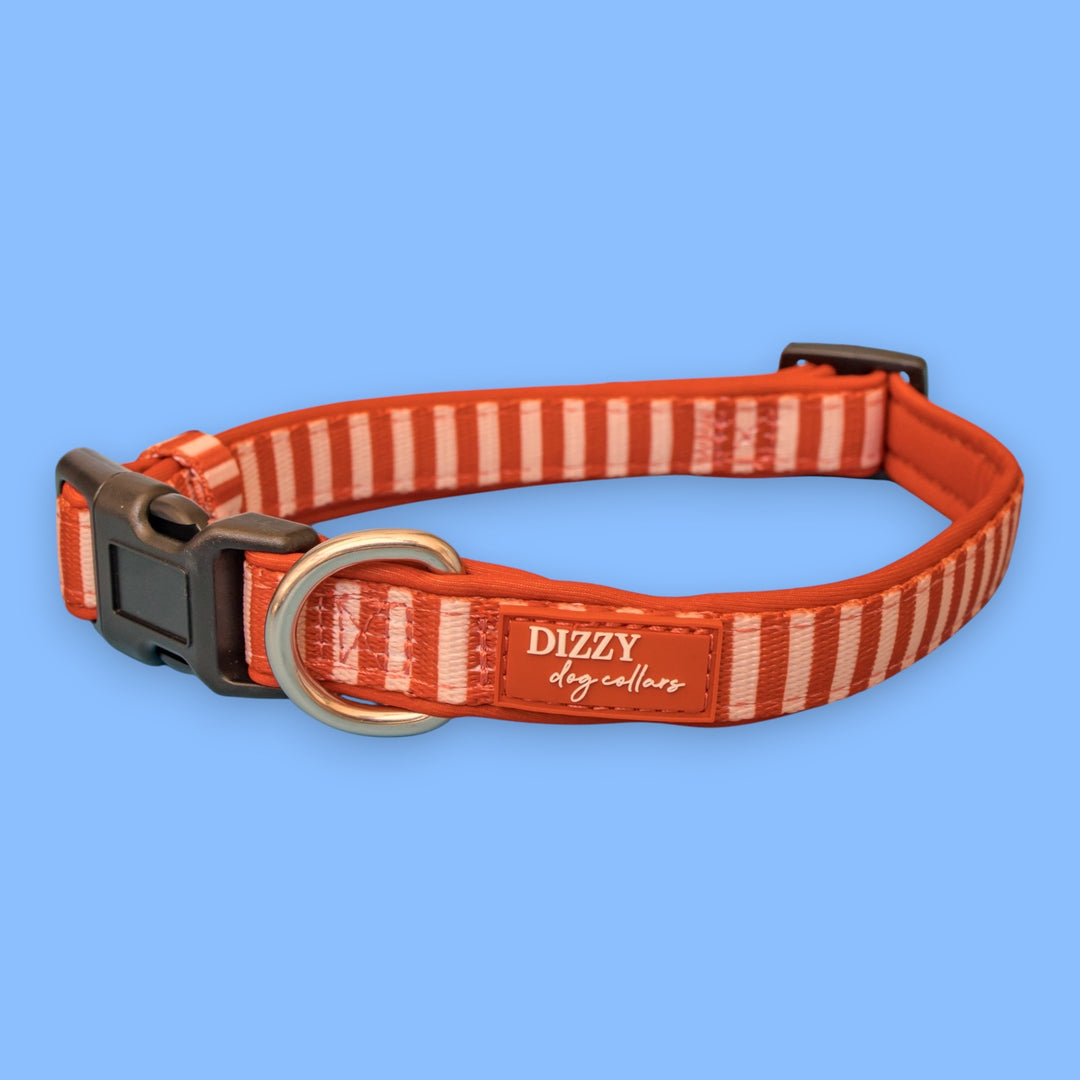 Rusty Ridge Dog Collar | Stainless Steel Neoprene Collar