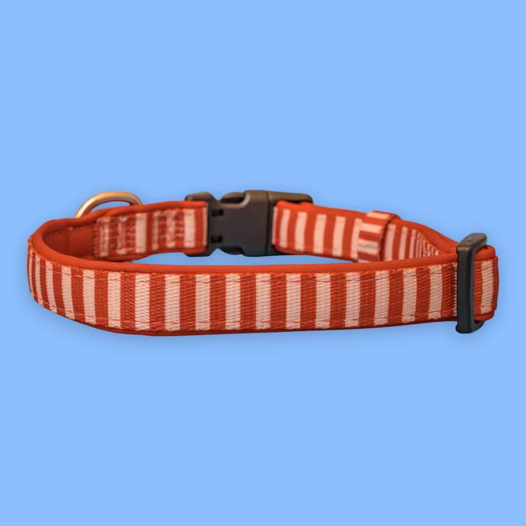 Rusty Ridge Pack Rusty Ridge Dog Collar | Rust Plaid Neoprene | Stainless Steel – Dizzy ...