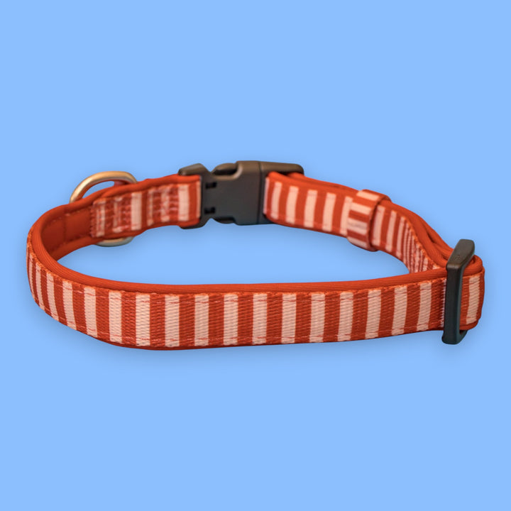 Rusty Ridge Dog Collar | Stainless Steel Neoprene Collar