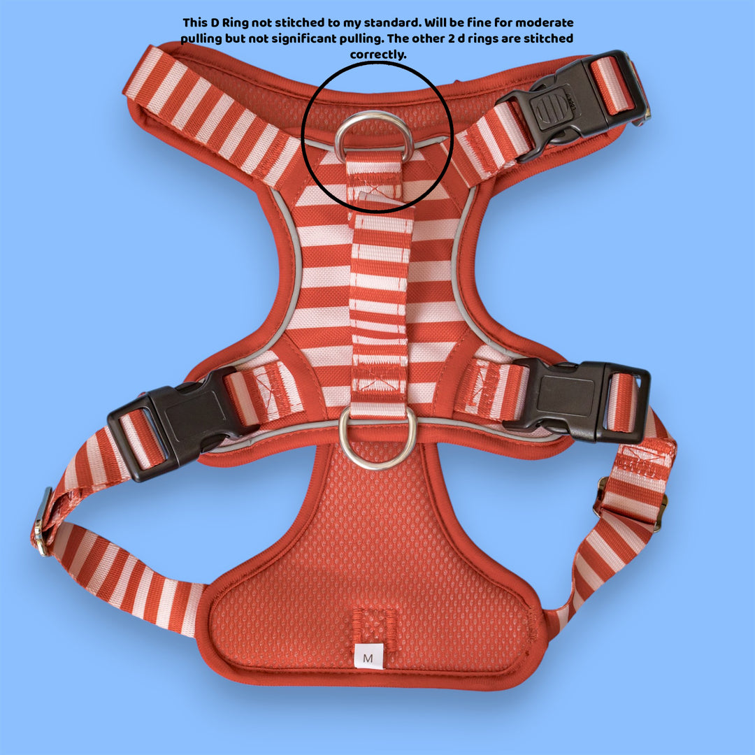 ****SECONDS*** No Pull Dog Harness with Handle |  Rusty Ridge
