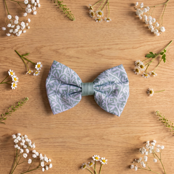 Wild Grove: Sage Vines Dog Bow Tie
