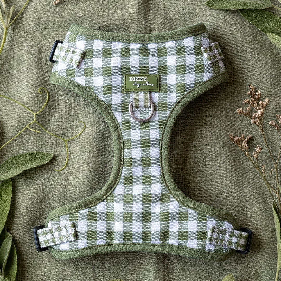 A green and white gingham check harness with olive green trim, laid flat on a sage green fabric background and surrounded by fresh sage leaves and dried flowers. The brand name 'BEEZY Dog Designs' is visible on the front label.
