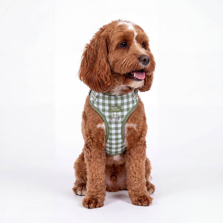 DOG HARNESS | Sage Gingham | Neck Adjustable Dog Harness, Stainless Steel