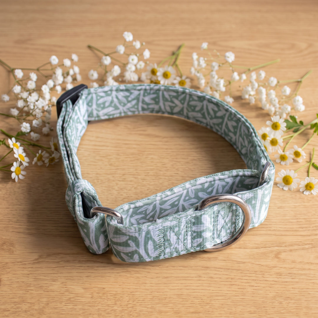 Wild Grove: Sage Vines | Martingale Dog Collar