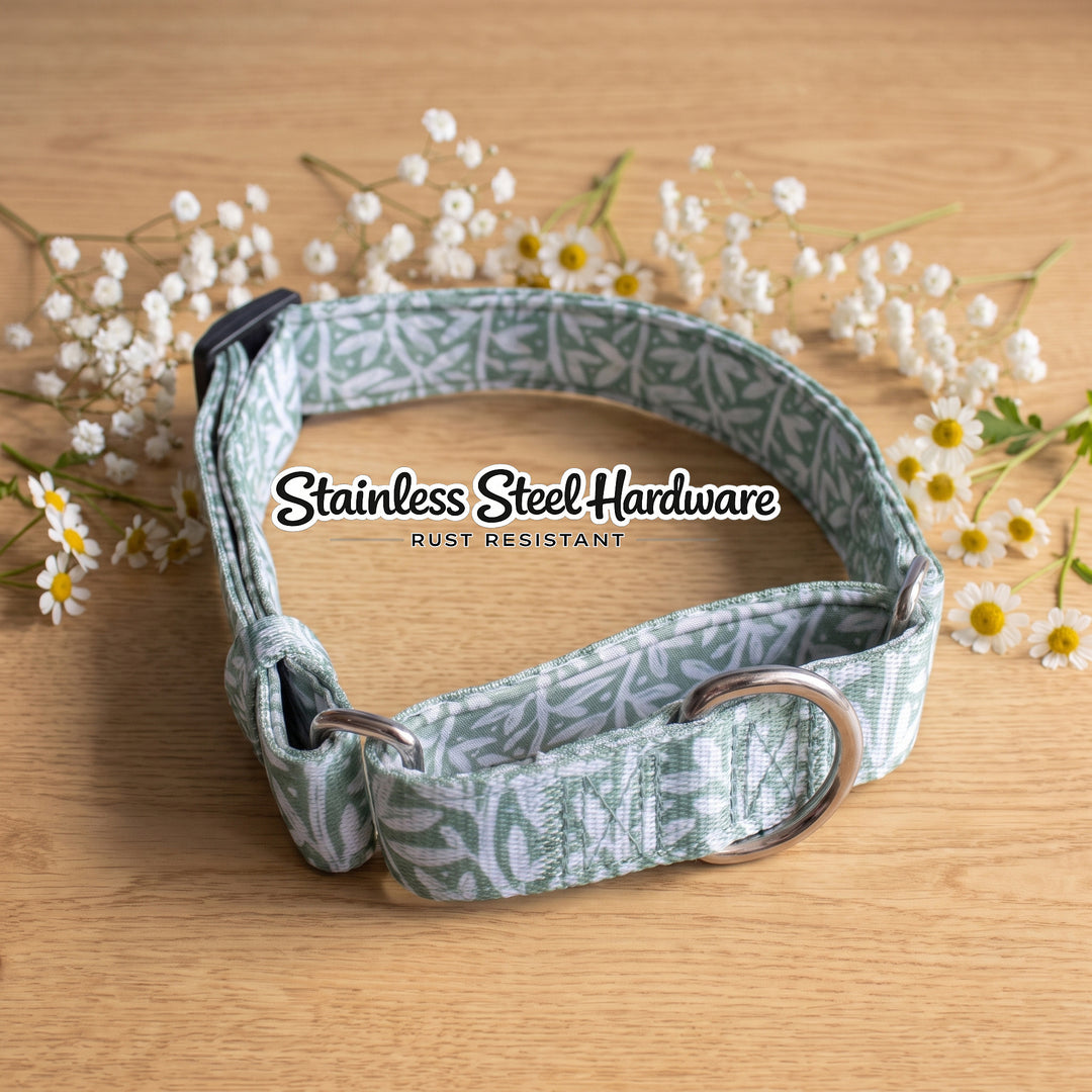 Wild Grove: Sage Vines | Martingale Dog Collar