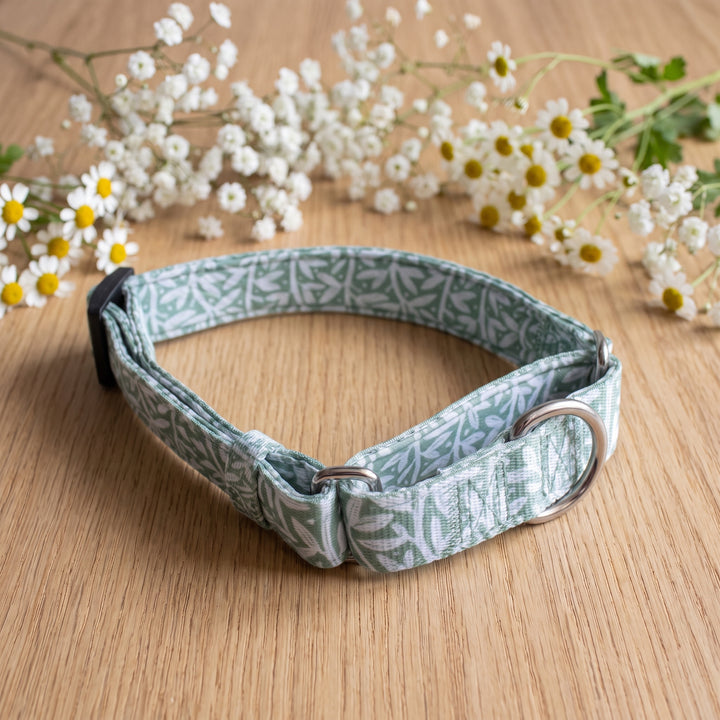 Wild Grove: Sage Vines | Martingale Dog Collar