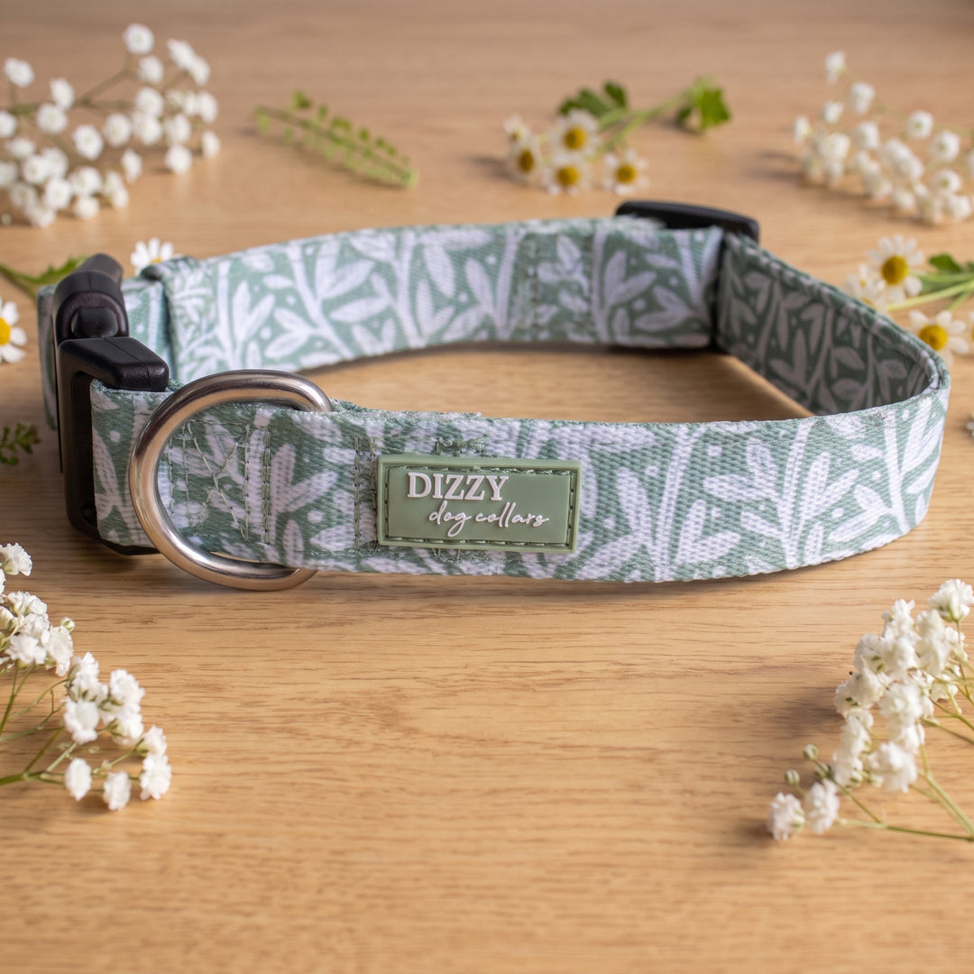 Wild Grove: Sage Vines Dog Collar | Neoprene Dog Collar