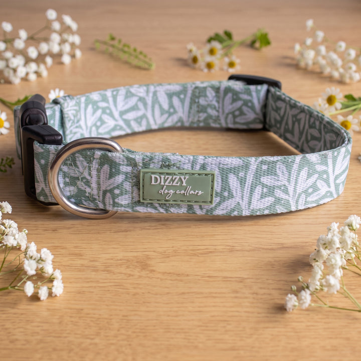 Wild Grove: Sage Vines Dog Collar | Neoprene Dog Collar